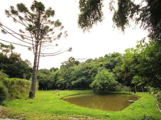 Sítio / Chácara para Venda em Campo Magro/PR Passaúna 3 Quartos