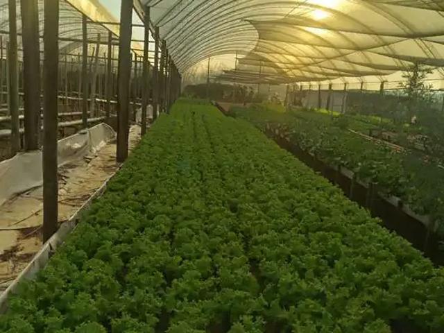 Sítio / Chácara para Venda em Campo Verde/MT Zona Rural 3 Quartos