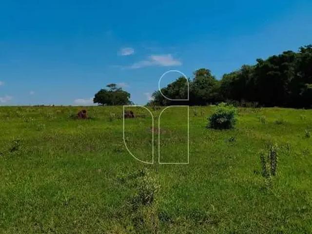 Sítio / Chácara para Venda em Campos Novos Paulista/SP Zona Rural