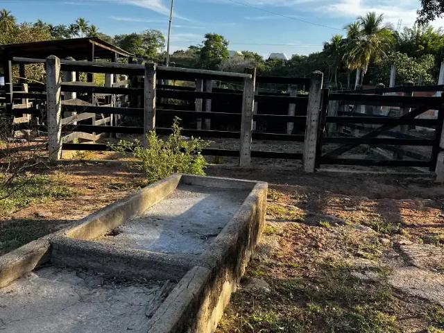 Sítio / Chácara para Venda em Campos dos Goytacazes/RJ Conselheiro Josino 2 Quartos