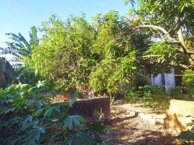 Sítio / Chácara para Venda em Campos dos Goytacazes/RJ Custodópolis