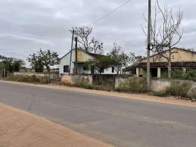 Sítio / Chácara para Venda em Campos dos Goytacazes/RJ Dores de Macabu