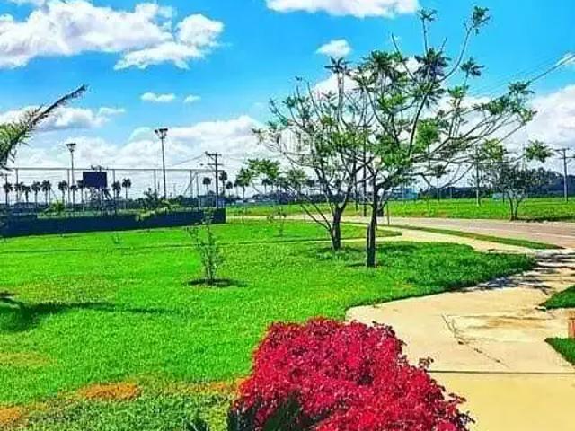 Sítio / Chácara para Venda em Campos dos Goytacazes/RJ Parque Rodoviário