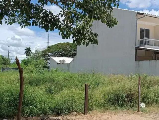 Sítio / Chácara para Venda em Campos dos Goytacazes/RJ Parque São Caetano