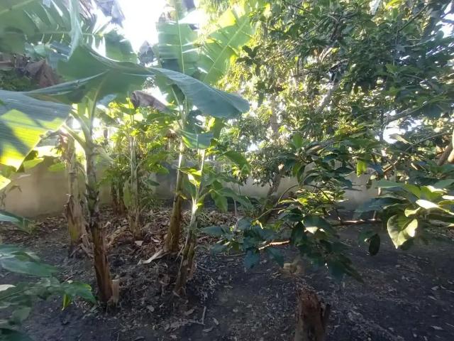 Sítio / Chácara para Venda em Campos dos Goytacazes/RJ Tocos 3 Quartos