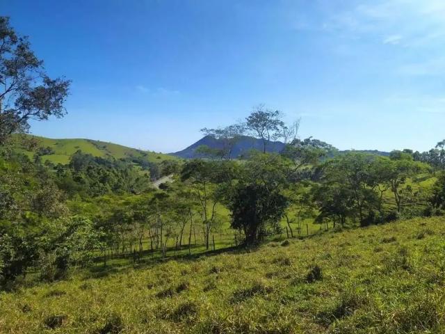 Sítio / Chácara para Venda em Campos dos Goytacazes/RJ Ururaí 1 Quartos