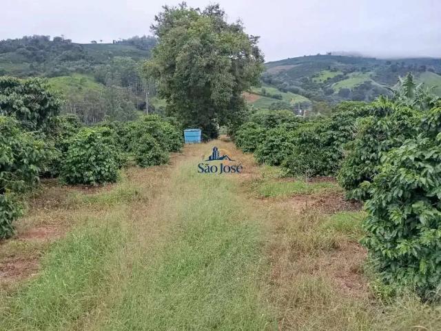 Sítio / Chácara para Venda em Campestre/AL Zona Rural 3 Quartos