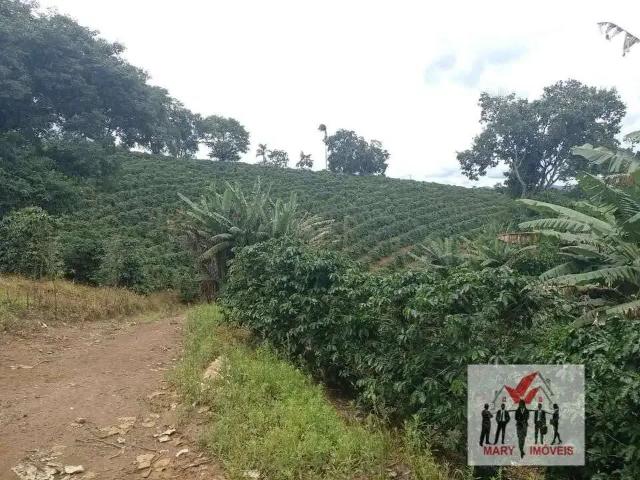 Sítio / Chácara para Venda em Campestre/MG Centro