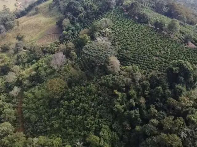Sítio / Chácara para Venda em Campestre/MG Zona Rural
