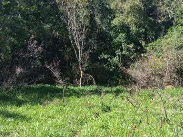 Sítio / Chácara para Venda em Campestre/MG Zona Rural