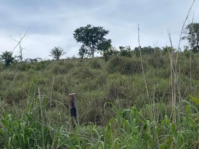Sítio / Chácara para Venda em Campinaçu/GO Zona Rural 5 Quartos