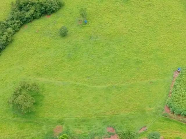Sítio / Chácara para Venda em Campina Verde/MG Centro