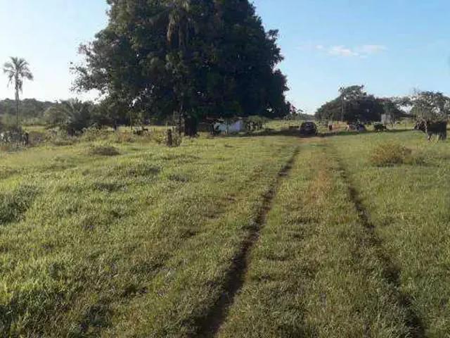 Sítio / Chácara para Venda em Campina Verde/MG Zona Rural 1 Quartos