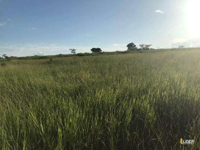 Sítio / Chácara para Venda em Campina Verde/MG Zona Rural