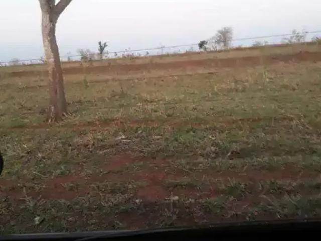 Sítio / Chácara para Venda em Campina Verde/MG Zona Rural