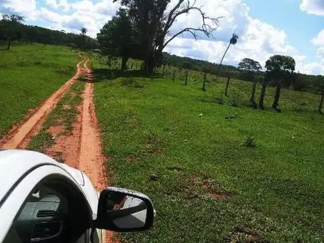 Sítio / Chácara para Venda em Campina Verde/MG Zona Rural