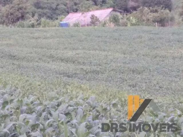 Sítio / Chácara para Venda em Campina da Lagoa/PR Centro 1 Quartos