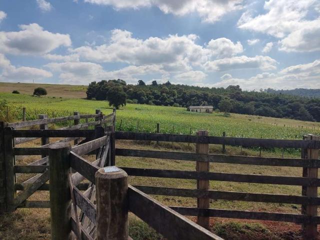Sítio / Chácara para Venda em Campina do Monte Alegre/SP Zona Rural 3 Quartos