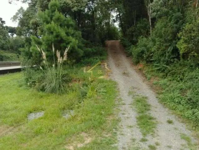 Sítio / Chácara para Venda em Campina Grande do Sul/PR Centro 2 Quartos