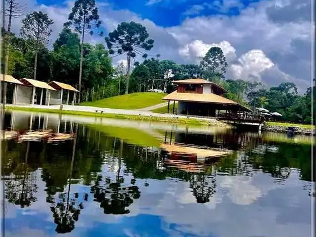 Sítio / Chácara para Venda em Campina Grande do Sul/PR Centro