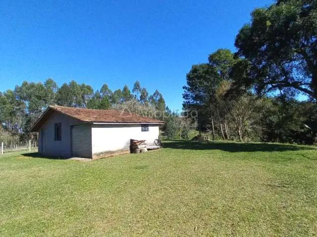 Sítio / Chácara para Venda em Campina Grande do Sul/PR Cerne Papanduva 3 Quartos