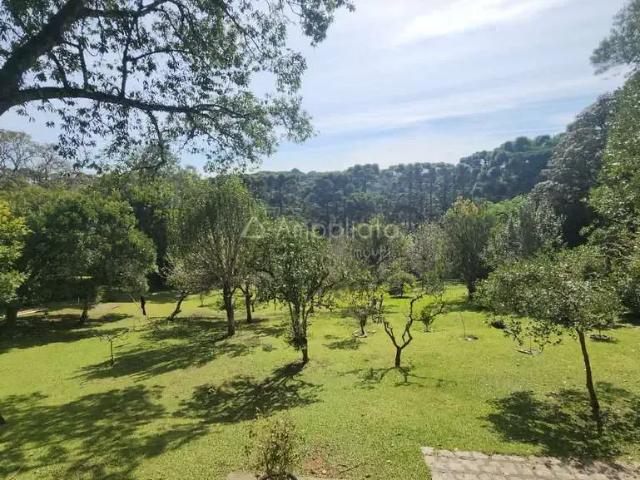 Sítio / Chácara para Venda em Campina Grande do Sul/PR Chácaras Olhos Dágua 2 Quartos