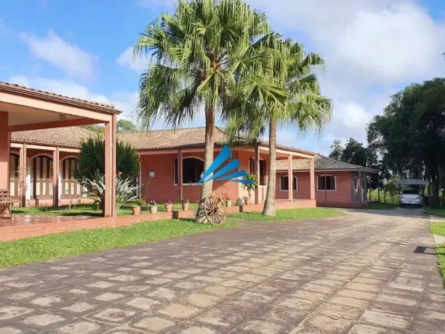 Sítio / Chácara para Venda em Campina Grande do Sul/PR Eugenia Maria 11 Quartos