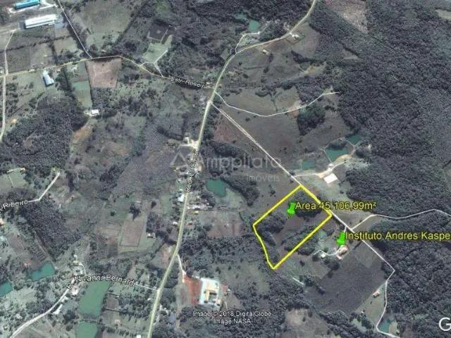 Sítio / Chácara para Venda em Campina Grande do Sul/PR Jardim Colina