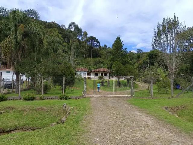 Sítio / Chácara para Venda em Campina Grande do Sul/PR Mandaçaia 3 Quartos