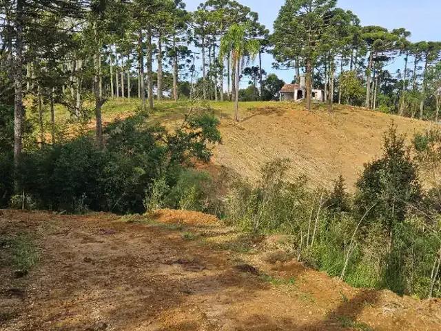 Sítio / Chácara para Venda em Campina Grande do Sul/PR Mandaçaia