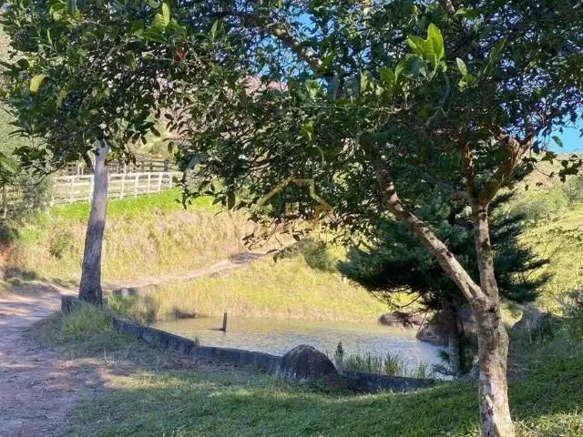 Sítio / Chácara para Venda em Campina Grande do Sul/PR São Sebastião 2 Quartos
