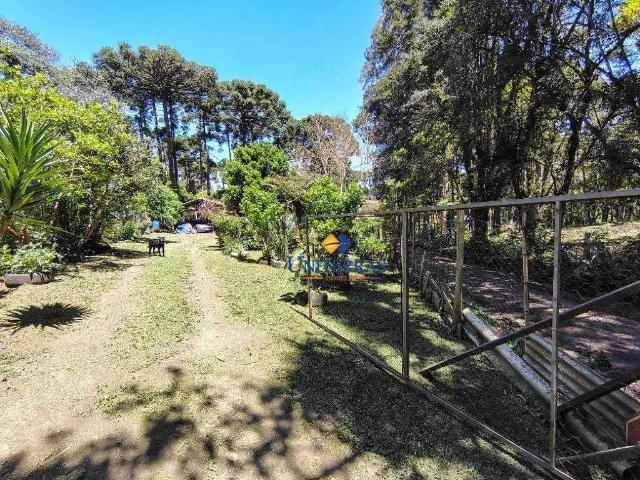 Sítio / Chácara para Venda em Campina Grande do Sul/PR Saltinho 3 Quartos