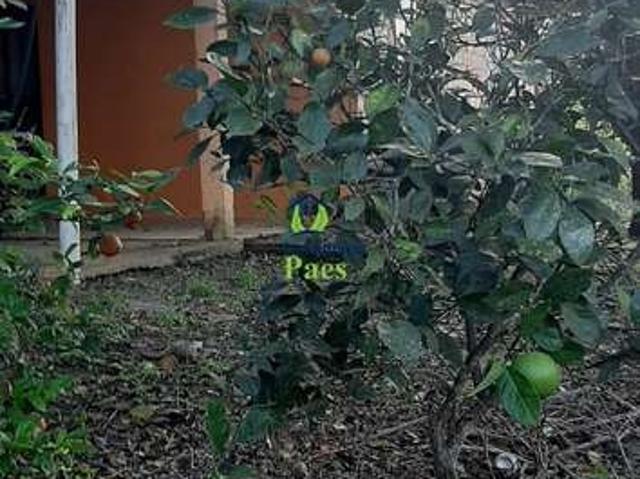 Sítio / Chácara para Venda em Campina Grande do Sul/PR Saltinho 2 Quartos