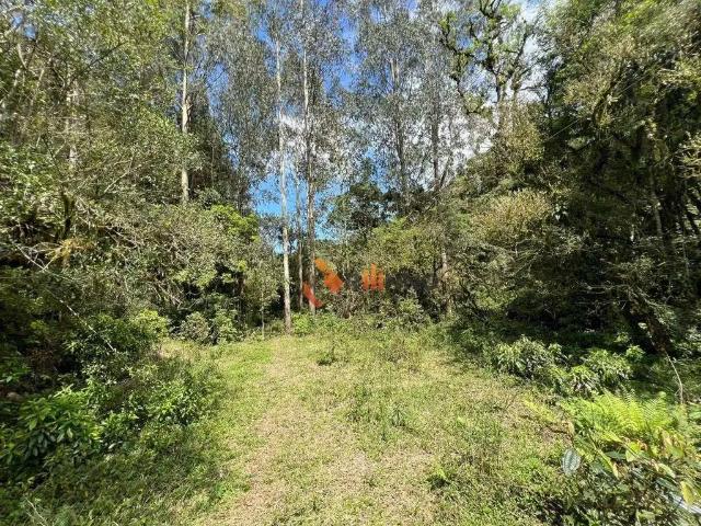 Sítio / Chácara para Venda em Campina Grande do Sul/PR Paiol De Baixo 3 Quartos
