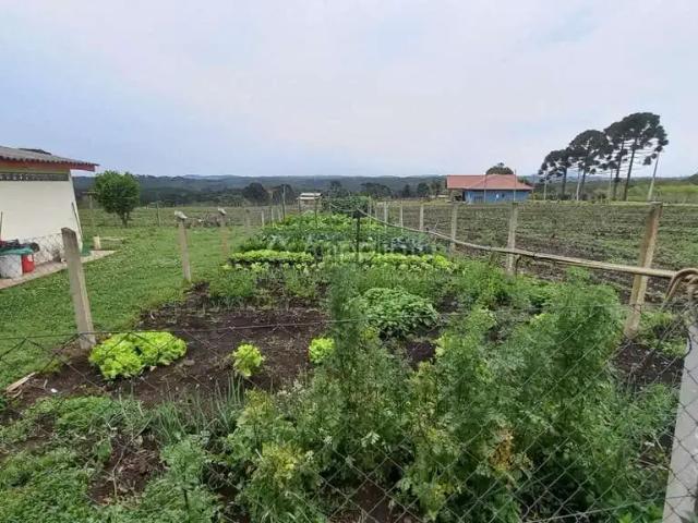 Sítio / Chácara para Venda em Campina Grande do Sul/PR Palmeirinha 2 Quartos