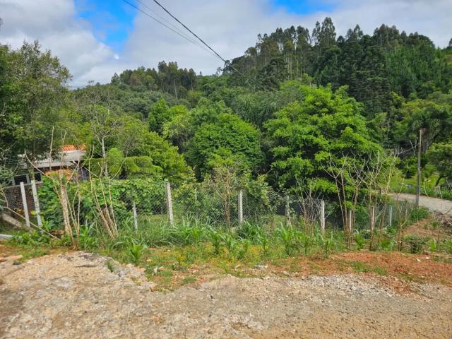 Sítio / Chácara para Venda em Campina Grande do Sul/PR Roseira 1 Quartos