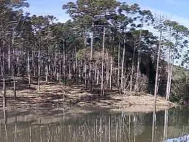 Sítio / Chácara para Venda em Campina Grande do Sul/PR Zona Rural
