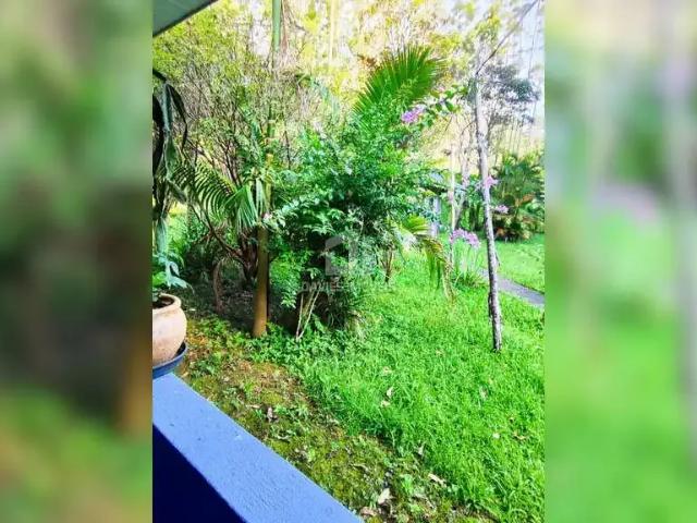 Sítio / Chácara para Venda em Campina Grande do Sul/PR Zona Rural 3 Quartos