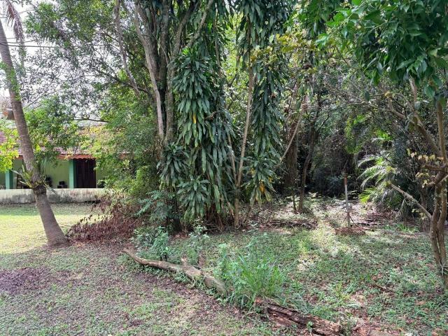 Sítio / Chácara para Venda em Campinas/SP Chácara Santa Margarida 2 Quartos