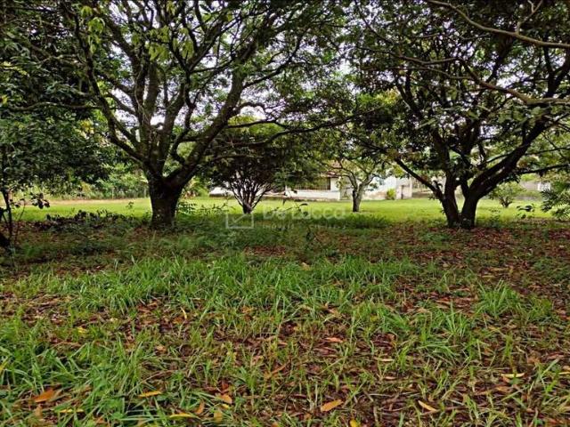 Sítio / Chácara para Venda em Campinas/SP Loteamento Chácaras Vale das Garças 1 Quartos
