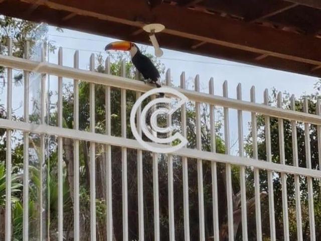 Sítio / Chácara para Venda em Campinas/SP Parque Jatibaia Sousas 3 Quartos