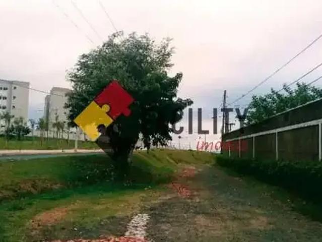 Sítio / Chácara para Venda em Campinas/SP Parque Universitário de Viracopos 3 Quartos
