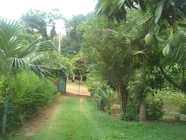Sítio / Chácara para Venda em Campinas/SP Recanto dos Dourados 2 Quartos