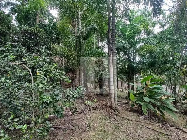 Sítio / Chácara para Venda em Campinas/SP Sousas 1 Quartos