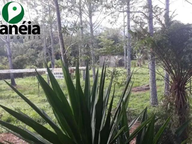 Sítio / Chácara para Venda em Cananéia/SP Bairro Iririaia Mirim