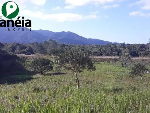Sítio / Chácara para Venda em Cananéia/SP Bairro Iririaia Mirim