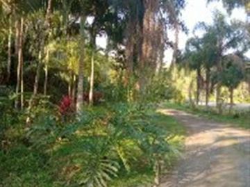 Sítio / Chácara para Venda em Cananéia/SP Bairro Iririaia Mirim