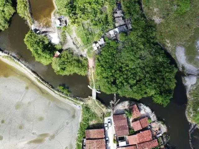Sítio / Chácara para Venda em Canguaretama/RN Centro 1 Quartos