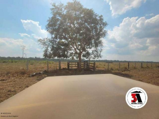 Sítio / Chácara para Venda em Candeias do Jamari/RO Área Rural de Candeias do Jamari