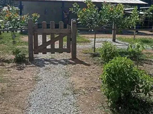 Sítio / Chácara para Venda em Candeias do Jamari/RO Área Rural de Candeias do Jamari